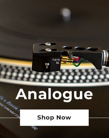 Analogue